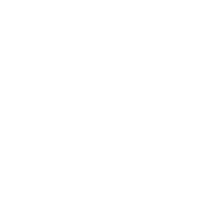 the argentine experience